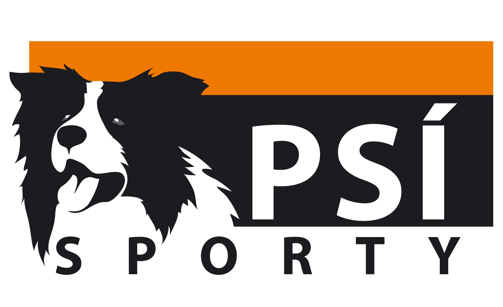 �asopis ps� sporty