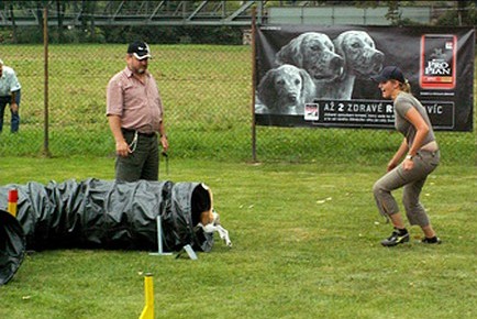 KONICA MINOLTA DIGITAL CAMERA