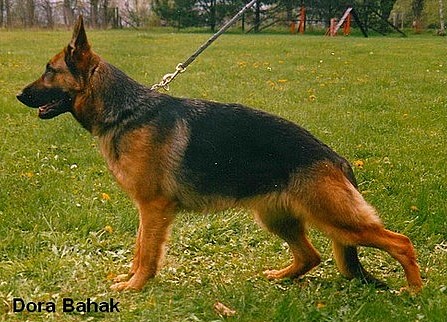 Foto12