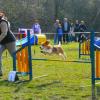 Prevzato_z_ZKO_Nymburk_P1020921
