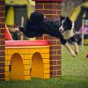 Agility