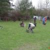 DSC02451
