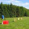 cvicak_agility