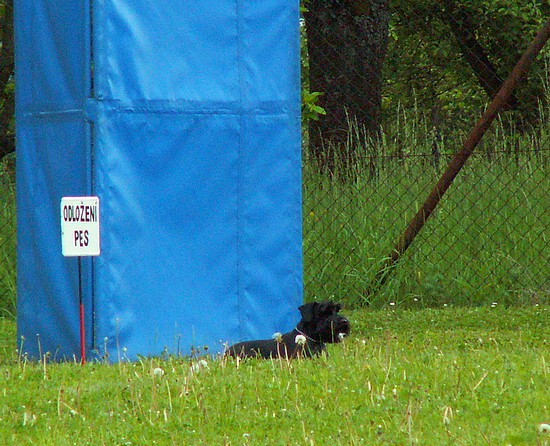 KONICA MINOLTA DIGITAL CAMERA