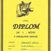 Diplom___LVT_Litomerice