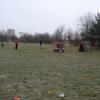DSC01981