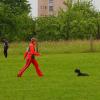 003albertzavody_150