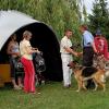 013zavody_536