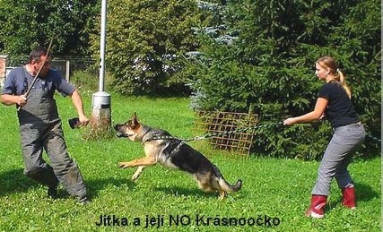 jitka2