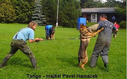 tango2