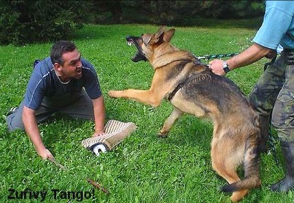 tango6