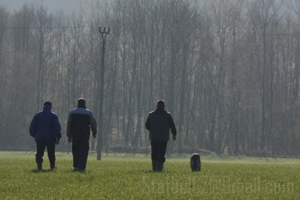 _MG_3512