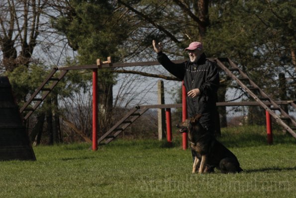 _MG_3529