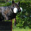 Coffe_2012-05-05_01