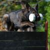 Coffe_2012-05-05_02