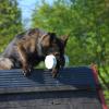 Coffe_2012-05-05_03