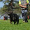 Coffe_2012-05-05_04