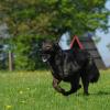 Coffe_2012-05-05_05