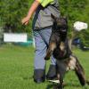 Coffe_2012-05-05_06