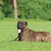 Dusan_a_Cora_2012-05-05_02