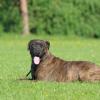 Dusan_a_Cora_2012-05-05_03