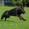 Ondra_a_Coffe_2012-05-05_09