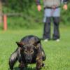 Ondra_a_Coffe_2012-05-05_17