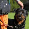 Radek_2012-05-05_04