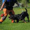 Radek_2012-05-05_09