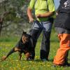 Radek_2012-05-05_10