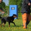 Radek_2012-05-05_11