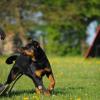 Radek_2012-05-05_12
