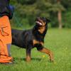 Radek_2012-05-05_13