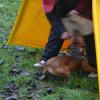 kousani_pseves2014-03_038