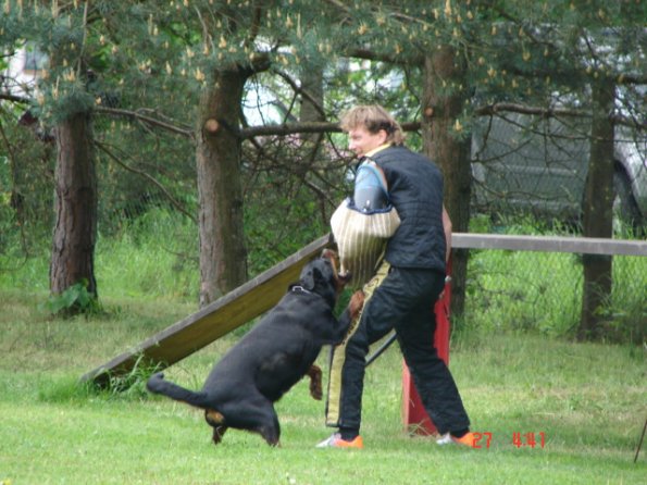 DSC01220