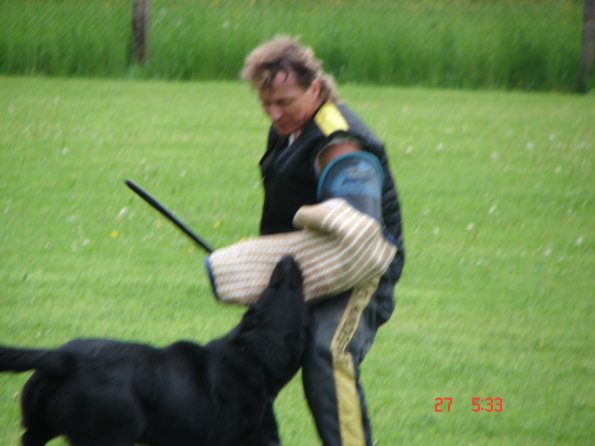 DSC01240