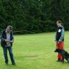 12_Windy_(Evropsky_sanovy_pes)