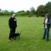 13._Chassity_Arate-Alesaf_(Stafordsirsky_bulterier)
