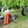 15._Windy_(ESP)_a_Ultimate_Speed_z_Gipova_(CP)