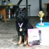 63._ZZO_3.misto_-_Ultimate_Speed_z_Gipova_(Chodak)